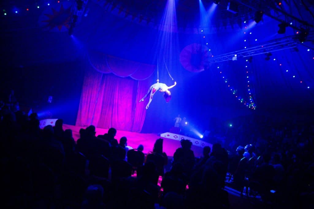 A Christmas circus is one of the shows on offer.